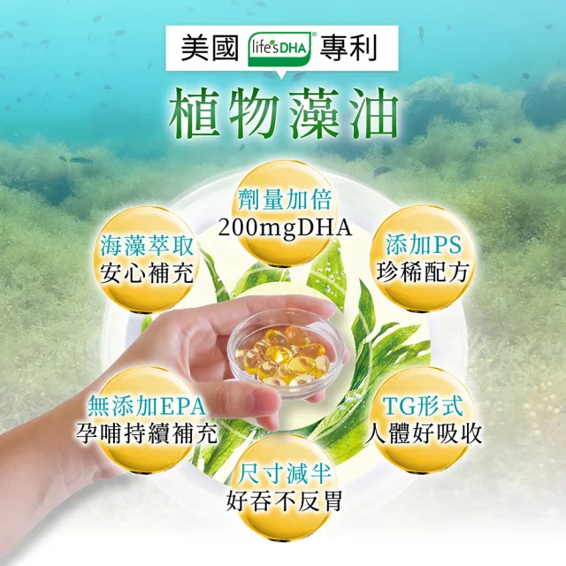 【YANNIGO 亞尼活力】藻油DHA+PS腦磷脂 3盒組(共180顆；200mgTG型植物藻油孕婦推薦)