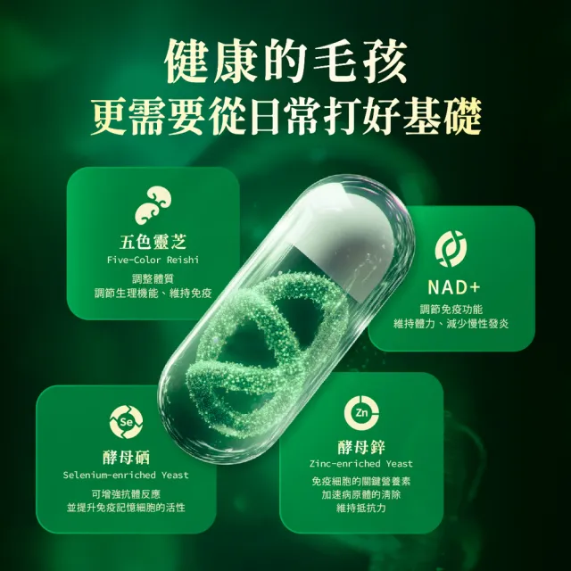 【Jadever】NMN命研鉑金萃30顆/盒(NAD+/五色靈芝/貓狗免疫力保健/貓狗呼吸道健康/寵物保健)