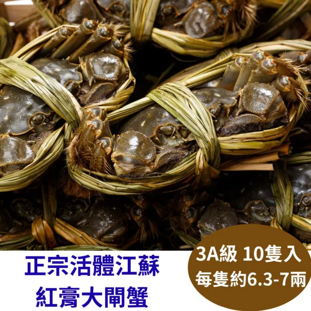 【RealShop】正宗活體江蘇紅膏大閘蟹 3A級 10隻(每隻約6.3-7兩 不含繩重 死蟹包換 真食材本舖)
