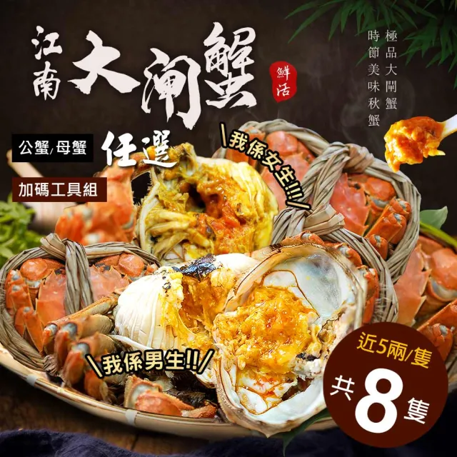 【優鮮配】(公母任選)近5兩大閘蟹8隻組/贈工具組/江南大閘蟹
