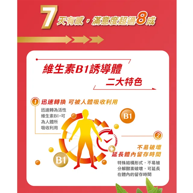 【台塑生醫醫之方】momo獨家長釋B群EX PLUS加強錠75錠x3瓶(共225錠李李仁代言)