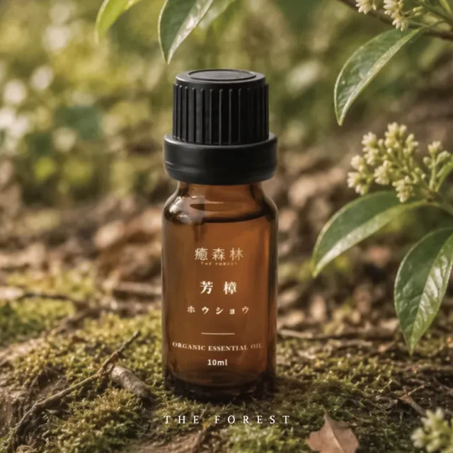 【The Forest 癒森林】芳樟天然精油10ml(擴香/薰香/香氛精油/單方精油/擴香石/居家香氛)