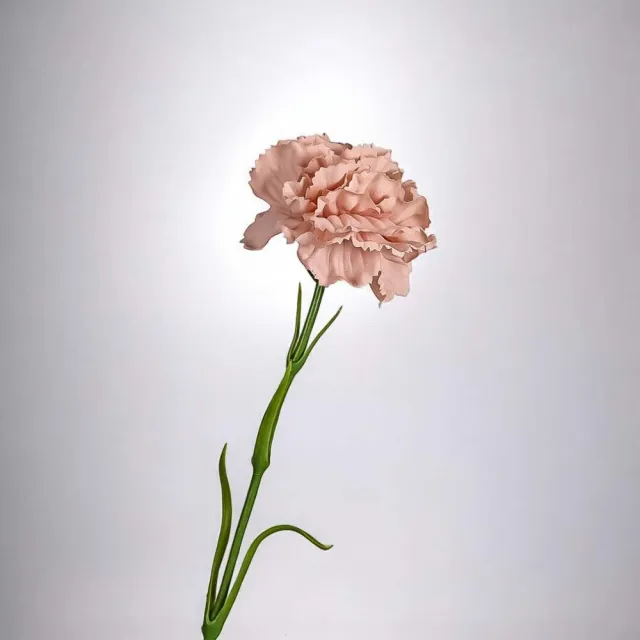 【Floral M】手感保濕康乃馨裸奶茶仿真花材（2入組）(造花/仿真花/假花/花藝DIY/裝飾花材)