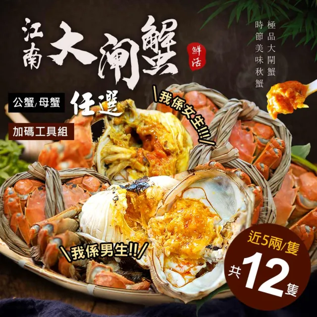 【優鮮配】(公母任選)近5兩大閘蟹 12隻組/贈工具組/江南大閘蟹