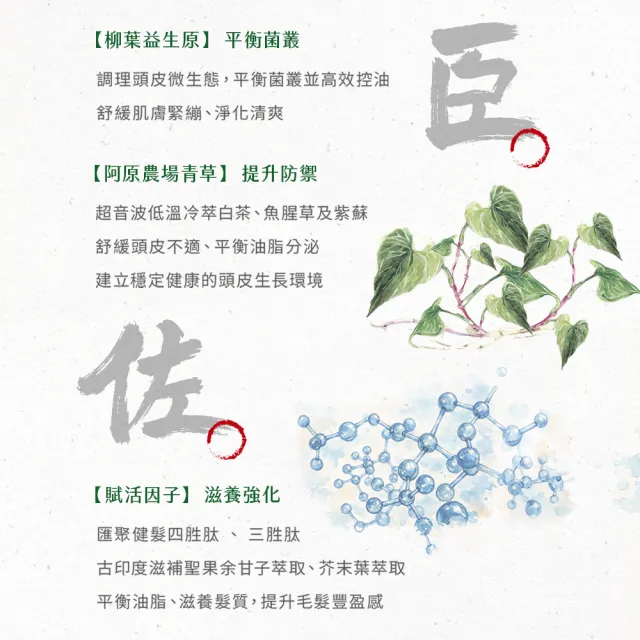 【阿原】人參豐盈養髮液50mL(強健髮根)(醫師好辣 節目推薦)