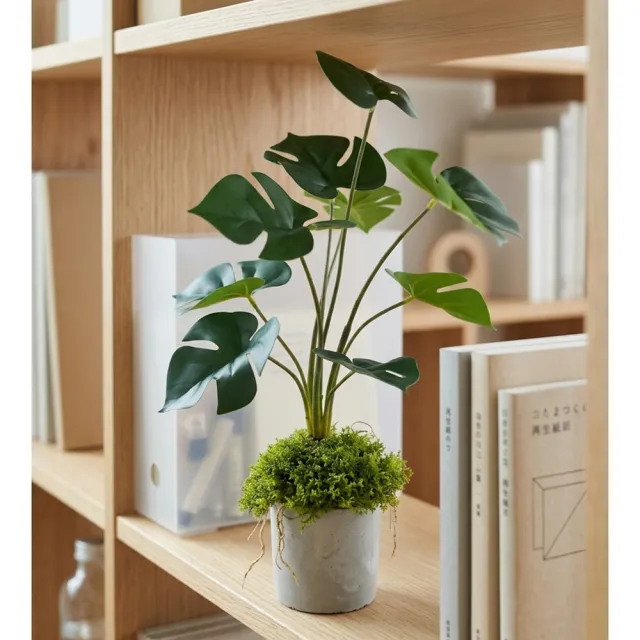 【HUGO DECO 榆果傢飾】擬真龜背芋 電信蘭香氛植栽 高款(擬真植物/人造盆栽/綠化/佈置/禮物)