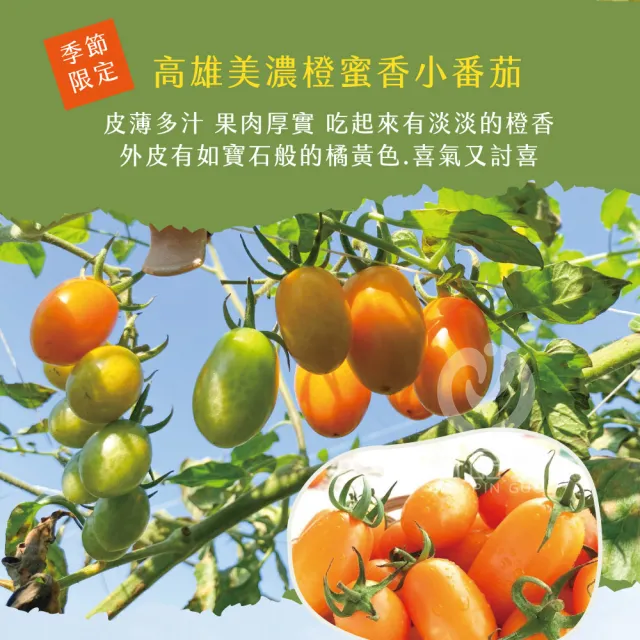 【初品果】高雄美濃達哥橙蜜香小番茄禮盒4斤x2盒(含箱重)