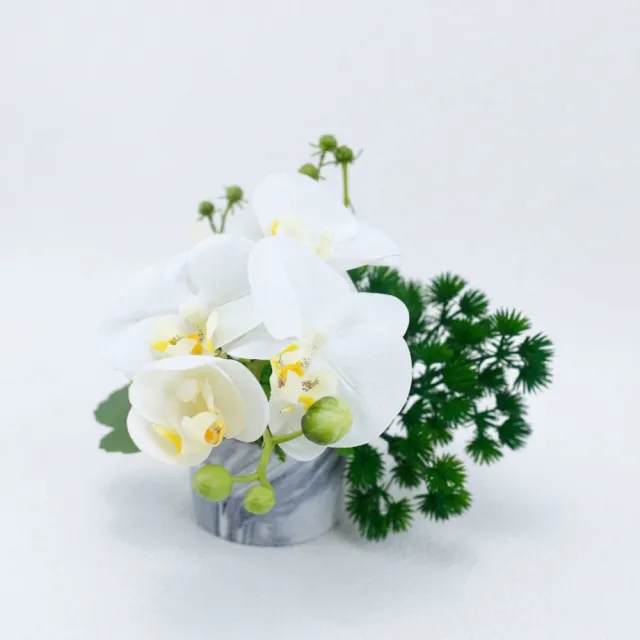 【HUGO DECO 榆果傢飾】白蝴蝶蘭香氛花藝(擬真/佈置/禮物/人造盆栽/花禮/1111)