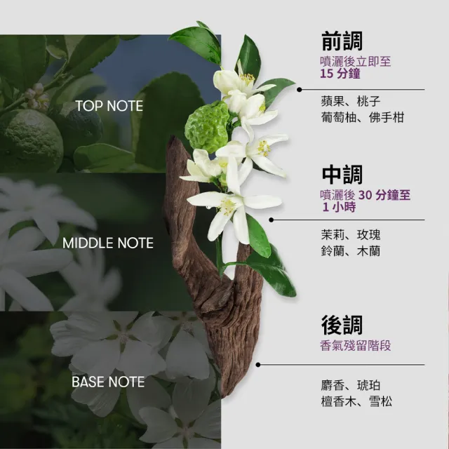 【VT】緊緻系列 - 微晶提拉眼霜 15ml