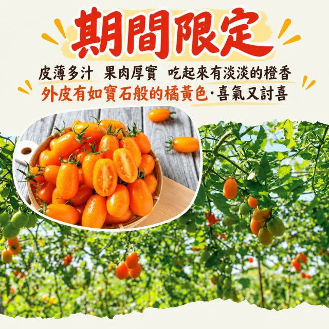 【初品果】高雄美濃達哥橙蜜香小番茄禮盒3斤x8盒(送禮/禮盒/水果禮盒_春節禮盒_產銷履歷_季節限定)