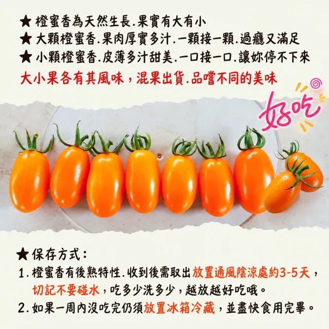 【初品果】高雄美濃達哥橙蜜香小番茄禮盒3斤x8盒(送禮/禮盒/水果禮盒_春節禮盒_產銷履歷_季節限定)