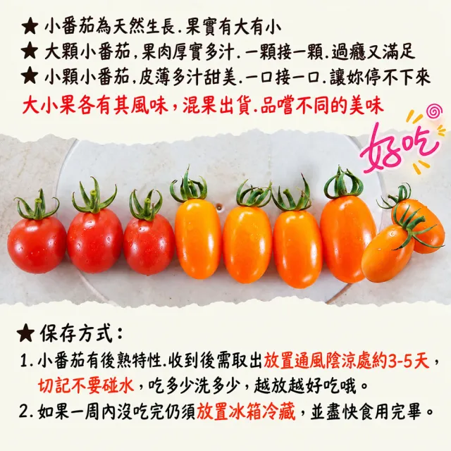 【初品果】美濃達哥雙色橙蜜香小番茄3斤x8盒(紅蜜+橙蜜金瑩_產銷履歷_送禮/禮盒/水果禮盒)