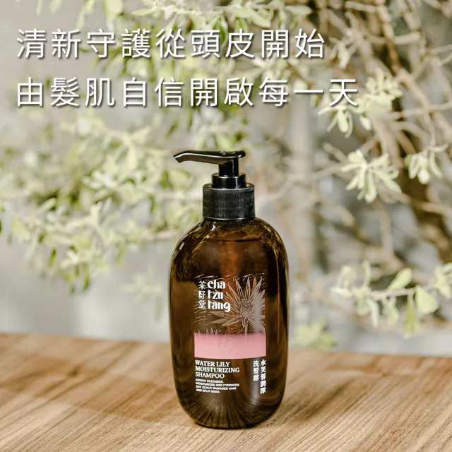【茶籽堂】三大植萃香氣洗髮露500mL(肖楠葉淨化/馬栗樹舒活/水芙蓉潤澤/控油保濕)