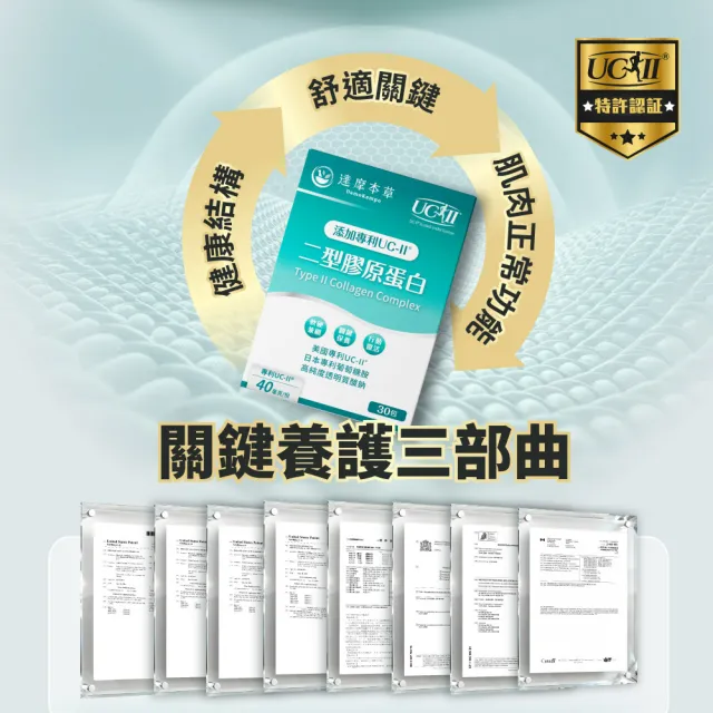 【達摩本草】專利UC-II二型膠原蛋白複方粉包 _薑黃升級版x1盒 (30包/盒)