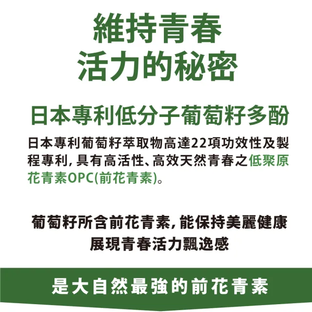 【達摩本草】專利盈法絲膠囊 2入組(30顆/包）（共60顆)
