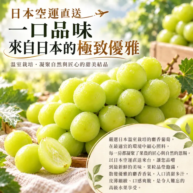 【WANG 蔬果】日本長野/山梨縣溫室麝香葡萄1房禮盒x4盒(350-400g/盒)