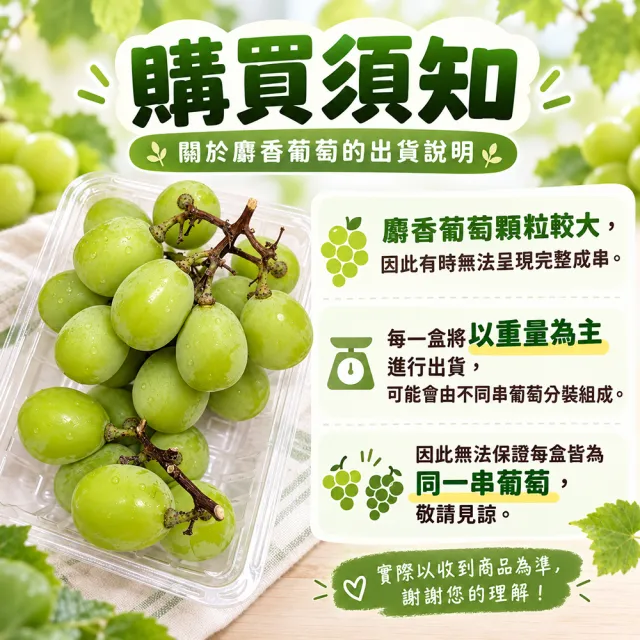 【WANG 蔬果】日本長野/山梨縣溫室麝香葡萄1房禮盒x4盒(350-400g/盒)