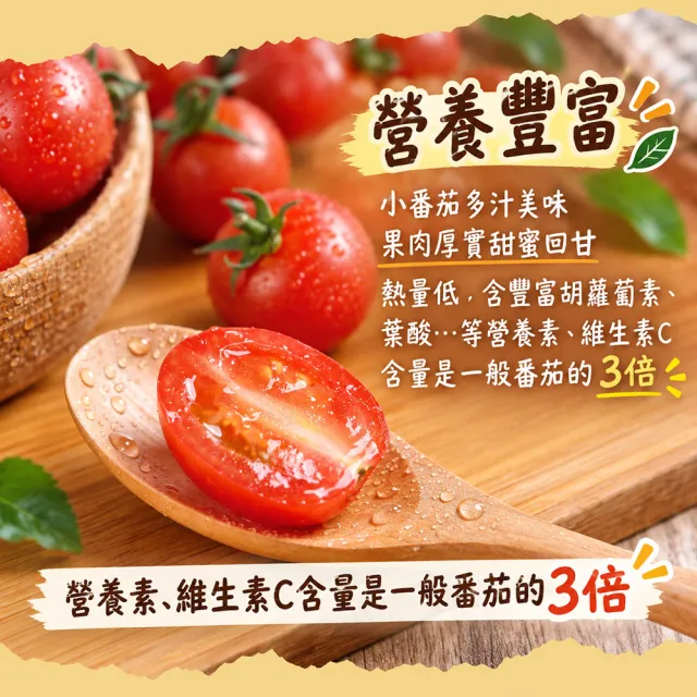 【初品果】美濃達哥紅蜜小番茄3斤x1盒(產銷履歷_營養滿滿_送禮/禮盒/水果禮盒)