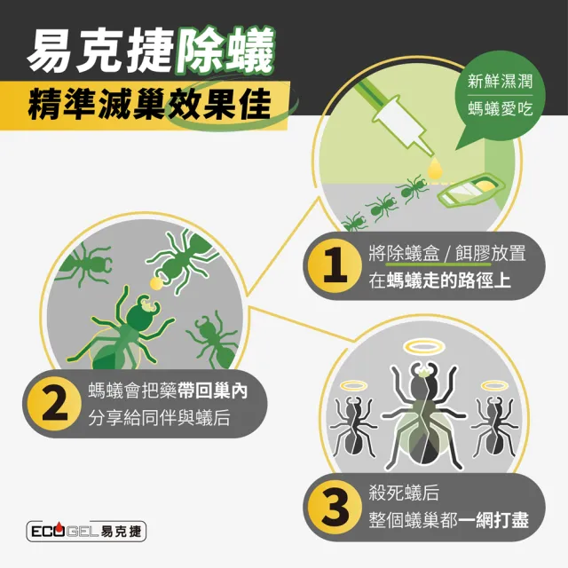 【ECOGEL 易克捷】歐洲原裝除蟑/除蟻盒15公克x3任選(專利設計免接觸藥劑 蟑螂藥螞蟻藥)