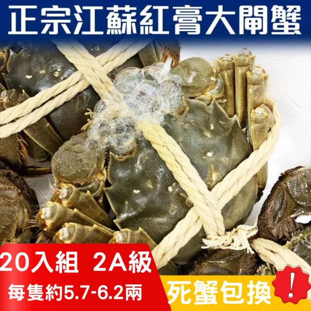 【RealShop】正宗活體江蘇公蟹紅膏大閘蟹2A級X20隻(2A約5.7-6.2兩 不含繩重死蟹包換 真食材本舖)