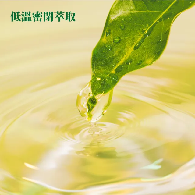 【IRIS】RYOKU綠綠茶2箱(500mlx48入) (日本境內版/官方直營/日本進口/日本茶葉/綠茶/茶葉/日本茶/即飲茶)