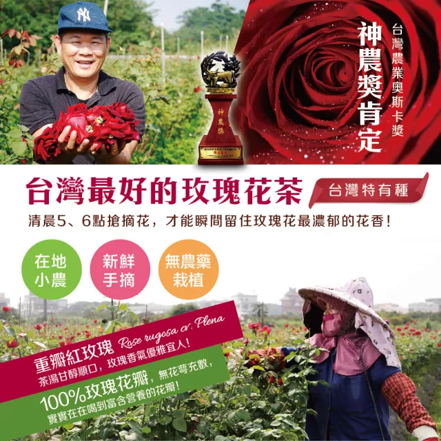 【慢悠仙】神農獎玫瑰花茶 20g 袋裝 X 3包(花瓣/每袋可沖40壺/SGS無農藥/無咖啡因無糖/花草茶養生茶)