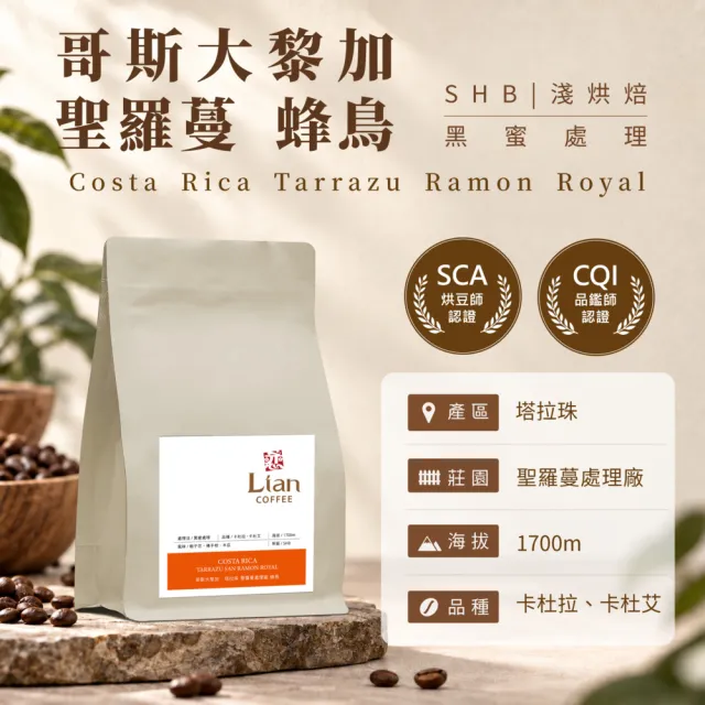 【戀】哥斯大黎加 塔拉珠 聖蘿蔓處理廠 蜂鳥SHB EP 葡萄乾密處理 淺焙精品咖啡豆(227g/袋)