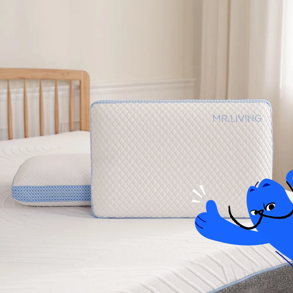 【MR. LIVING 居家先生】買一送一 涼感減壓記憶枕 枕頭 60*40*14cm(透氣涼感 雙面設計 可拆洗)