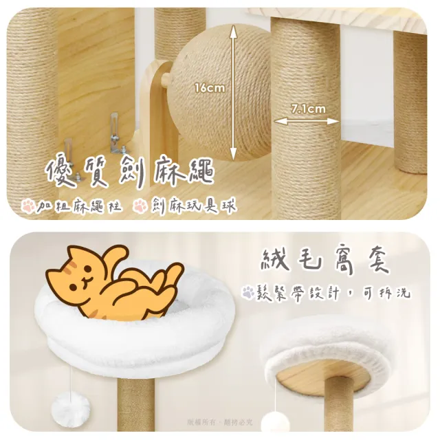 【貓本屋】台灣製 雙太空艙方形實木貓跳台(附劍麻抓板/球)