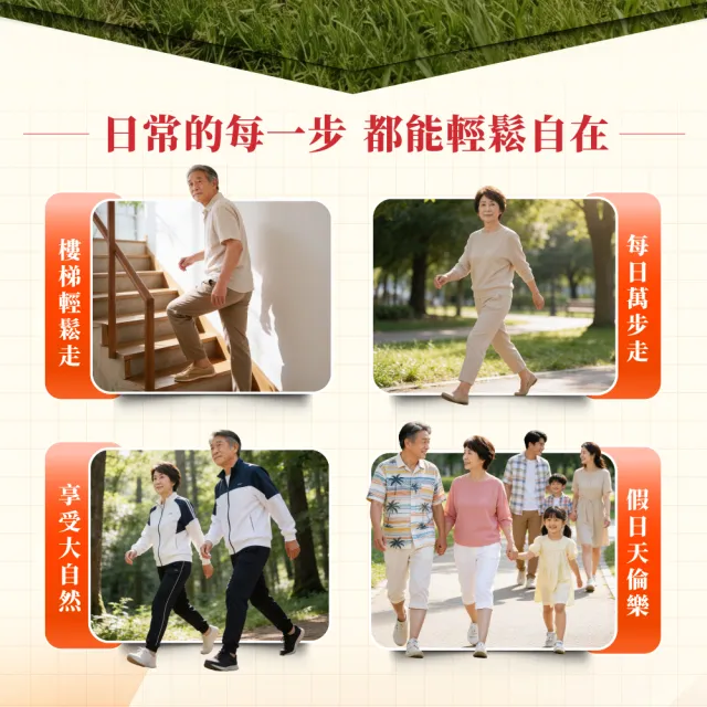 【達摩本草】葡萄糖胺活步錠6入 60錠/盒(日本進口專利葡萄糖胺、26項國際專利、結合魟魚軟骨素)