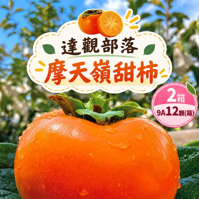 【初品果】達觀部落余大哥9A高山甜柿大禮盒12顆x2箱(每顆315g±10%_年節禮盒_產地直送)