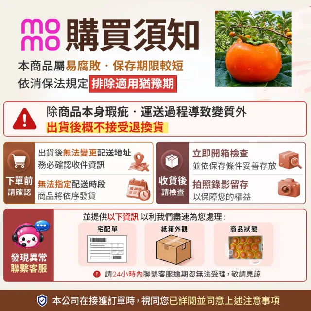 【初品果】達觀部落余大哥9A高山甜柿特大顆12顆禮盒x1箱(350g/顆 中秋禮盒_產地直送)