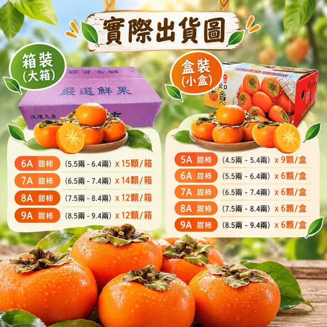 【初品果】達觀部落余大哥8A高山甜柿大禮盒12顆x2箱(每顆300g±10%_年節禮盒_產地直送)
