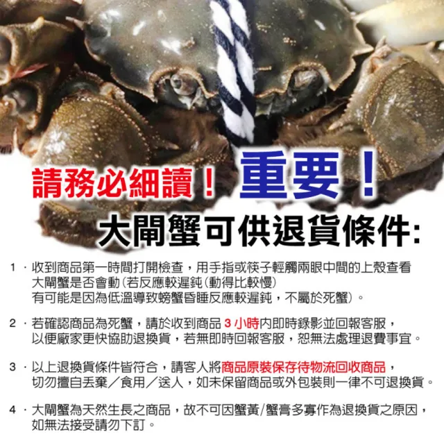 【三頓飯】正宗港A等級江南精品大閘蟹(共10隻_5.2-5.8兩/隻) 保證活蟹直送