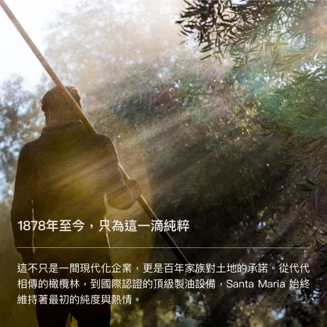 葡萄牙 Santa Maria 特級初榨橄欖油 1000ml (玻璃裝)