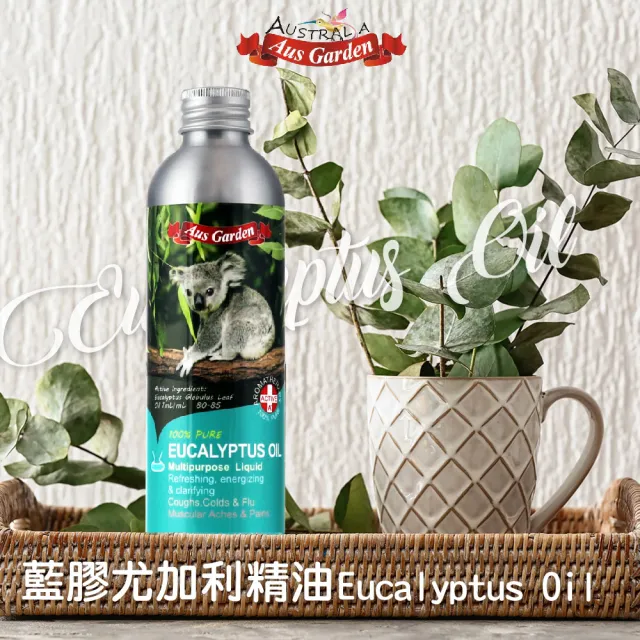 【澳維花園】大容量精油3入(尤加利250mlX3/薰衣草/薄荷/茶樹100mlX3/任選)