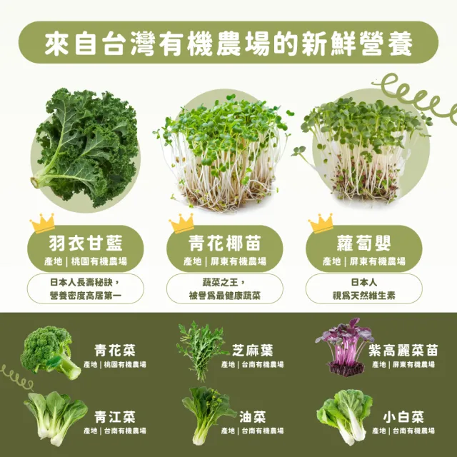 【Dr. Ginger 薑博士】超青汁12盒組(30包/盒;花椰菜苗/羽衣甘藍/蘿蔔硫素)