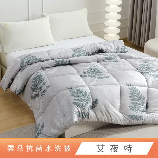 【HongYew 鴻宇】雲朵暖綿抗菌水洗被-多款任選(雙人 水洗被 冬被 棉被 韓國被)