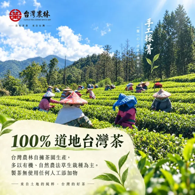 【台灣農林】官方直營 豔陽小葉蜜香紅茶(茶葉150g/盒)