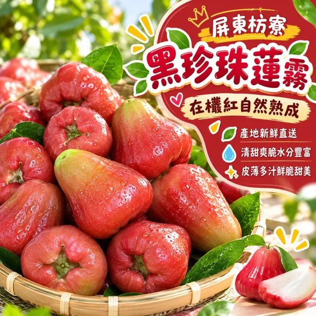 【初品果】屏東枋寮黑珍珠蓮霧禮盒3斤x2盒(季節限定_年節禮盒_產地直送)