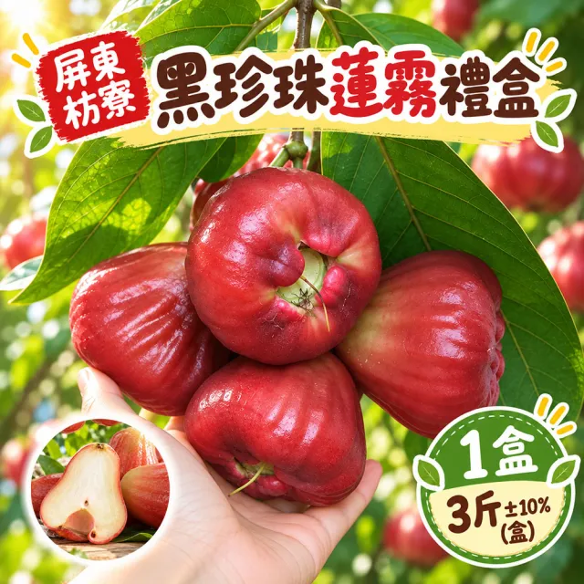 【初品果】屏東枋寮黑珍珠蓮霧禮盒3斤x1盒(季節限定_年節禮盒_產地直送)