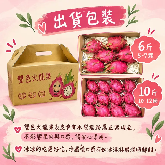 【初品果】南投夢幻雙色火龍果6斤5-7顆x1盒(雙色冰淇淋_季節限定_鮮採直送)