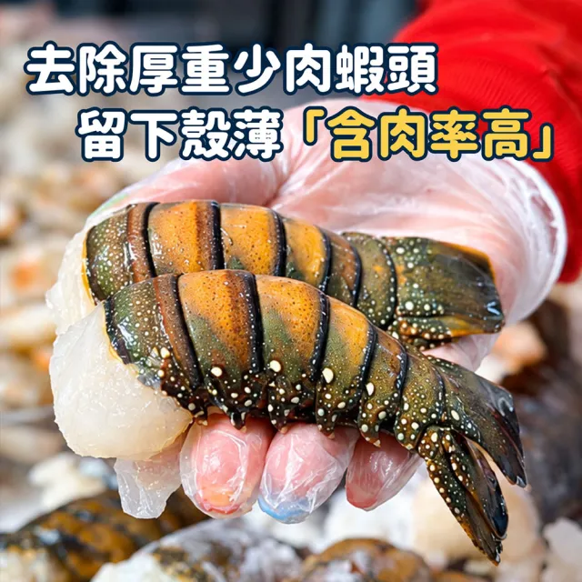 【優鮮配】3盎司-龍蝦身 4尾(85g/尾)/去頭殼薄(生凍)龍蝦尾