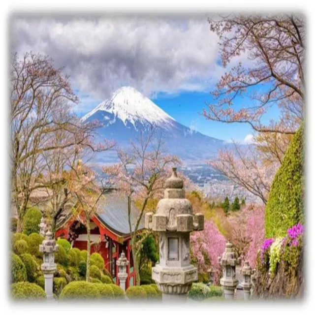 【找到了旅遊】東京豪華五日酷航空(午去晚回)(下單免領隊小費)