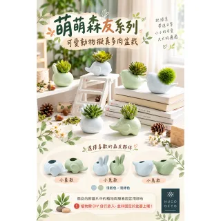 【HUGO DECO 榆果傢飾】萌萌森友系列可愛動物擬真多肉盆栽 小鳥款 共兩款