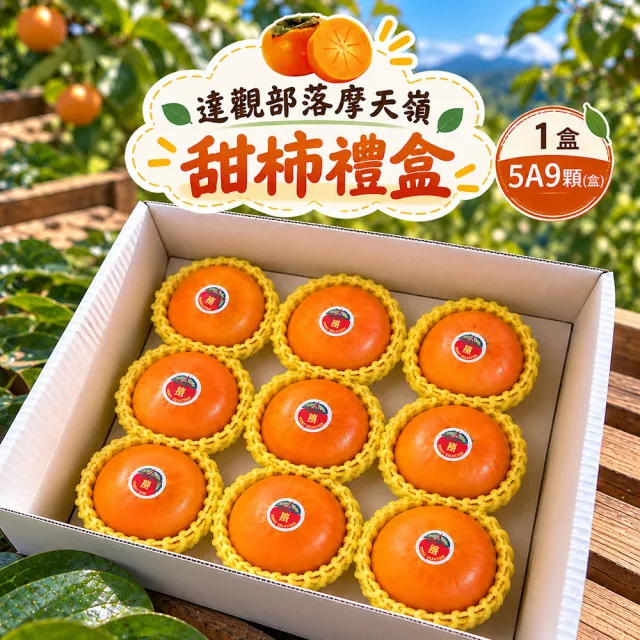 【初品果】達觀部落余大哥5A高山甜柿禮盒9顆x1盒(每顆160g-200g_年節禮盒_產地直送)