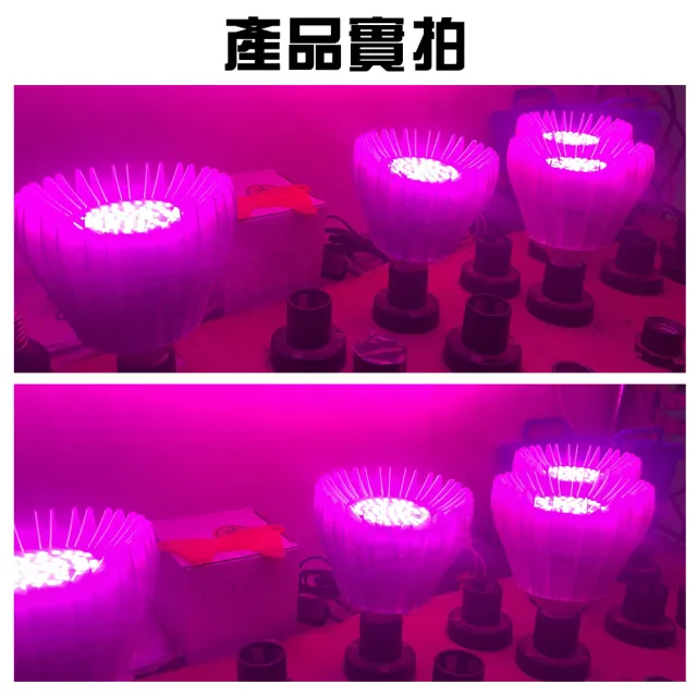 【JIUNPEY 君沛】40W 紅藍光譜E27植物燈泡 軌道式(植物生長燈)