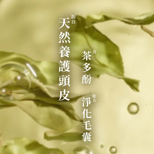 【Hair Recipe】髮的食譜 混搭任選組 全新!洗髮精/潤髮乳510gx3(控油x防斷x強韌)