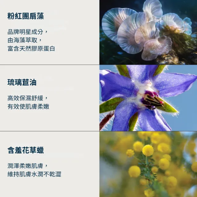 【ELEMIS 愛莉美】NO.1卸妝膏新客入門組(卸妝膏 20G+洗面乳30ml+化妝水50ml)