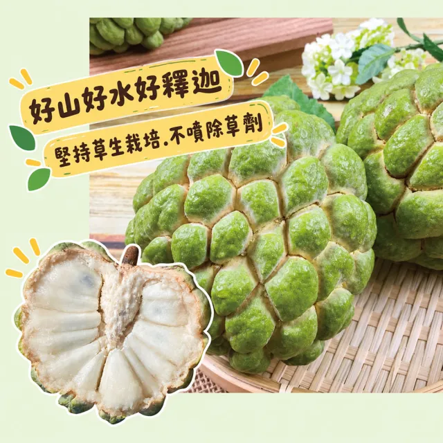 【初品果】台東太麻里大目釋迦禮盒含箱5斤6-7顆x2盒(送禮/禮盒/水果禮盒)